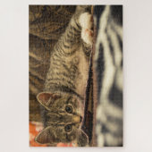 makreel kitten puzzel (Verticaal)