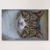 makreel tabby kat puzzel (Horizontaal)