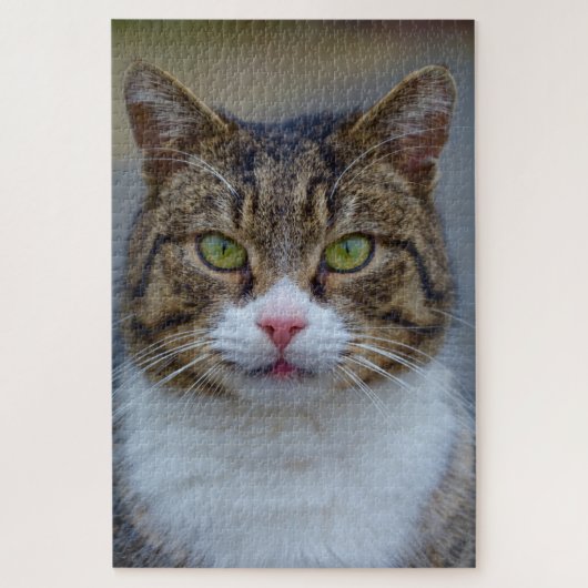 makreel tabby kat puzzel (Verticaal)
