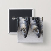 Makreel, verse vangst van de dag vierkante button 5,1 cm (Voorkant /achterkant)