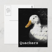 Makreelaars Briefkaart (Voorkant / Achterkant)