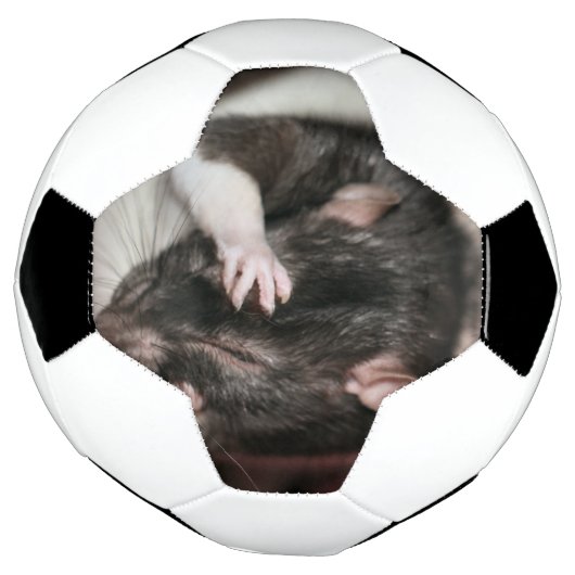 Mal de tête ! (Tourné)