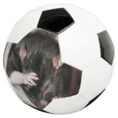 Mal de tête ! (3/4)