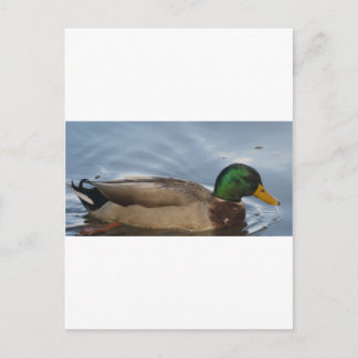 Mal. III Briefkaart