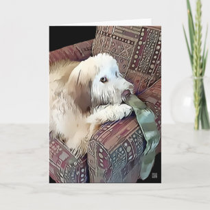 MALACHI heARTdog Whoodle Kaart