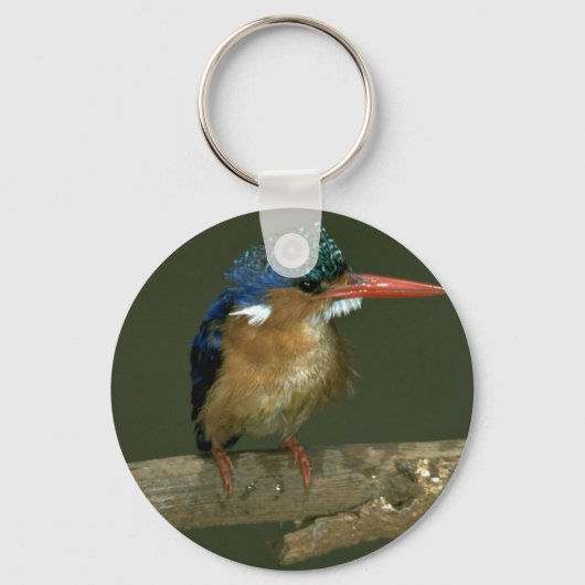 Malachite Kingfisher Sleutelhanger (Voorkant)