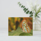 Malachite op een blad briefkaart (Staand voorkant)