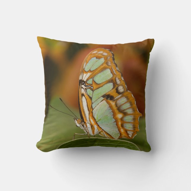 Malachite op een blad kussen (Voorkant)