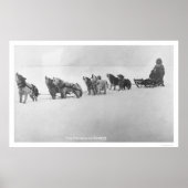 Malamute Chorus Alaska 1920 Poster (Voorkant)