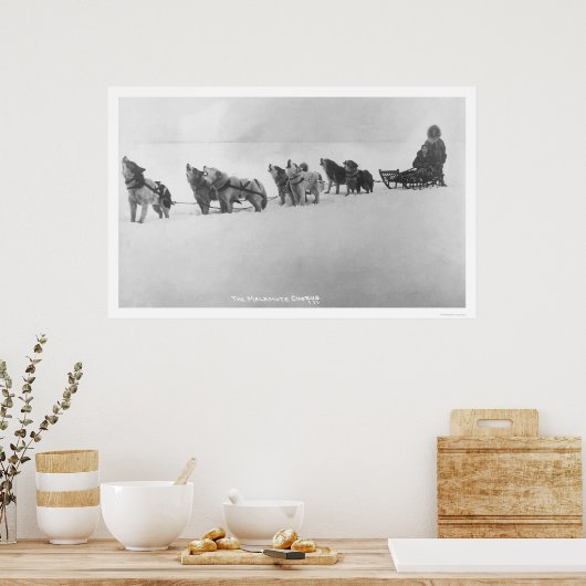 Malamute Chorus Alaska 1920 Poster (Keuken)