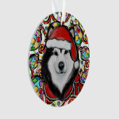 Malamute d'Alaska (devant)