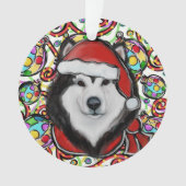 Malamute d'Alaska (devant)