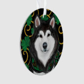 Malamute d'Alaska (devant)