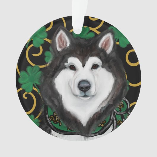 Malamute d'Alaska (devant)
