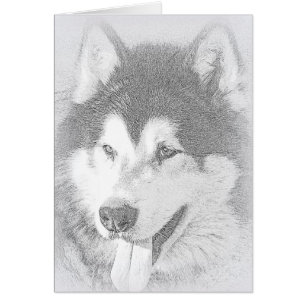 Malamute d'Alaska
