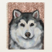 Malamute d'Alaska (Devant)