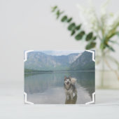 Malamute Dog Briefkaart (Staand voorkant)