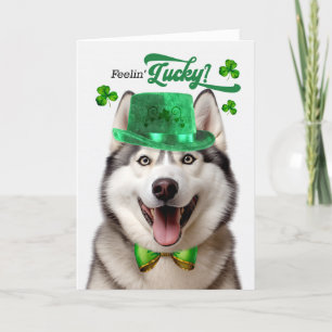 Malamute Dog Feelin' Lucky St Patrick's Day Feestdagen Kaart