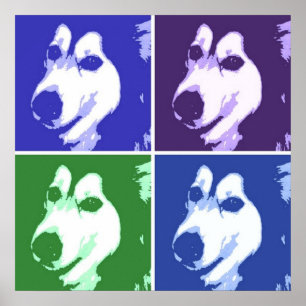 Malamute Dog Poster