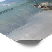 Malamute Dog Poster Print (Hoek)