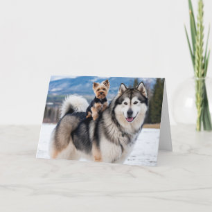 Malamute en Yorkie Kaart