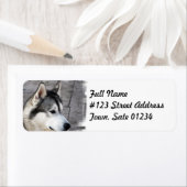 Malamute hond mailing label (Insitu)