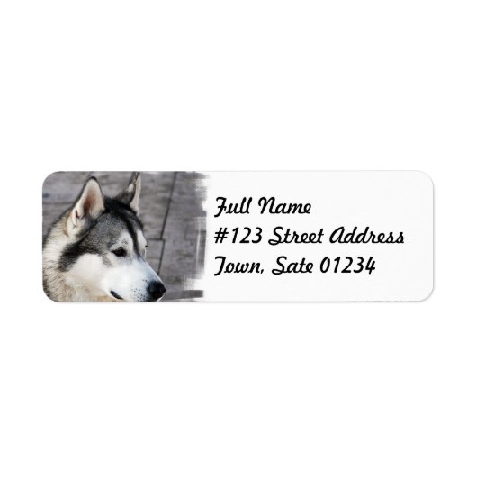 Malamute hond mailing label (Voorkant)
