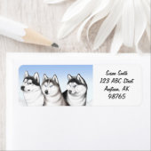 Malamute Husky Dogs Etiket (Insitu)