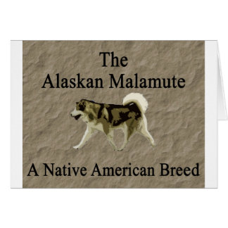 Malamute — Inative Breed Copy