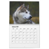 Malamute Kalender van Alaska (Feb 2027)