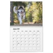 Malamute Kalender van Alaska (Jan 2027)