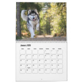 Malamute Kalender van Alaska (Jan 2026)