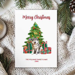 Malamute Kerst Kaart