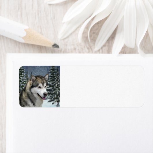 Malamute Return Address Label (Insitu)