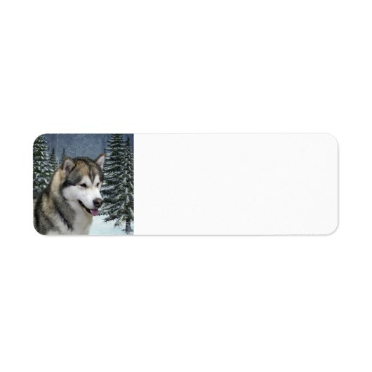 Malamute Return Address Label (Voorkant)