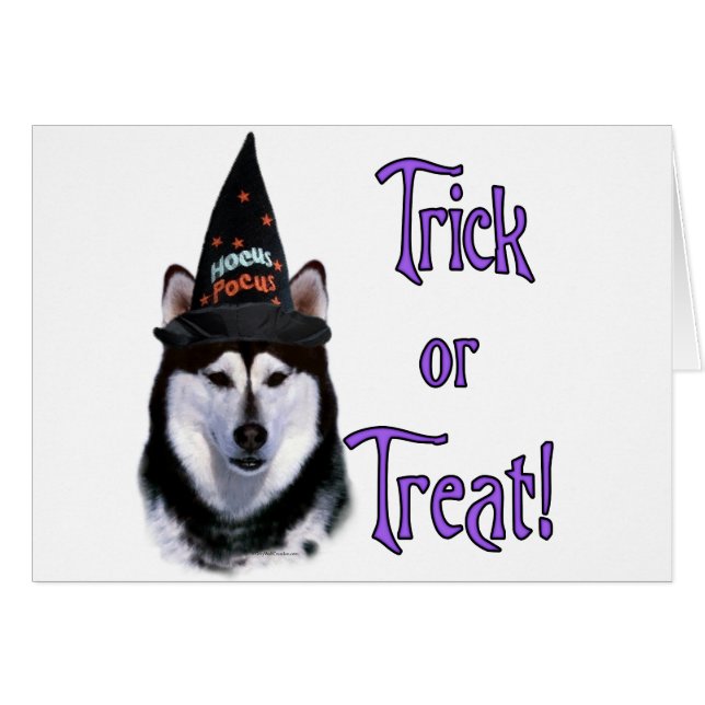 Malamute Trick van Alaskan (Voorkant Horizontaal)