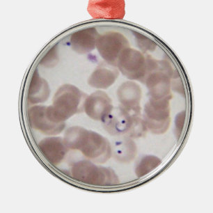 Malaria (Plasmodium) bloeduitstrijkjes Metalen Ornament