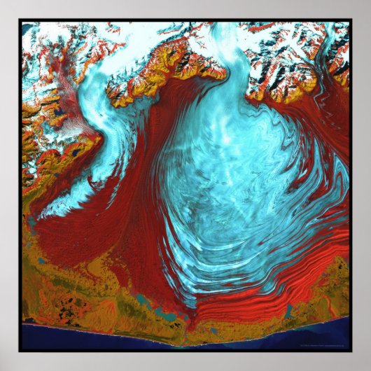 Malaspina Glacier Alaska Poster (Voorkant)