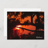 Malawi, Afrique Sunset Carte Postale (Devant / Derrière)