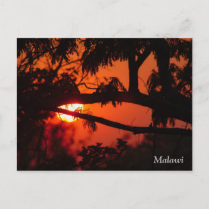Malawi, Afrique Sunset Carte Postale