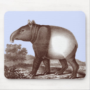 Malay Tapir in een landschappelijke achtergrond aa Muismat