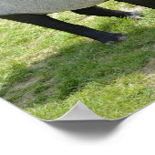 Malayaanse tapirs op gras poster (Hoek)