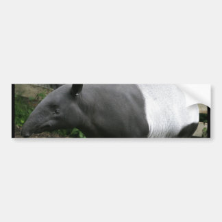 Malayan Tapir Bumpersticker