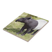 Malayan tapir op gras tegeltje (Zijkant)