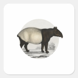 Malayan Tapir - zoogdier Vierkante Sticker