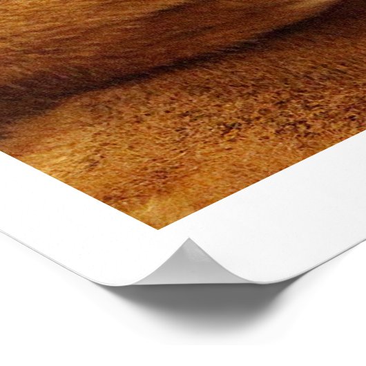 Malayan Tiger #1 poster (Hoek)