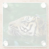 Malayan Tiger Face Swimming Glazen Onderzetter (Achterkant)