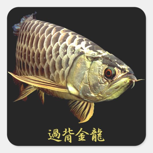 Malaysian Golden Arowana Vierkante Sticker (Voorkant)