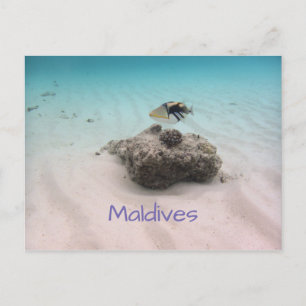 Maldiven Blauwe Oceaan White Sand Coral Triggerfis Briefkaart