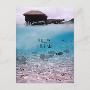 Maldiven Greetings Snorkeling Fun Souvenir Briefkaart